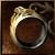Pargon Ring